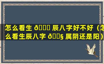 怎么看生 💐 辰八字好不好（怎么看生辰八字 🐧 属阴还是阳）